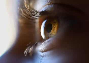 Унікальний метод покращення зору / Фото: javi_indy/Freepik