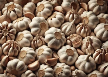 Користь і шкода часнику