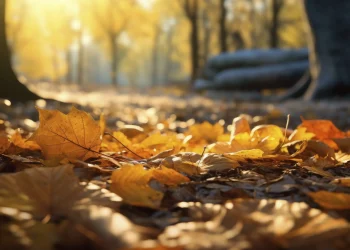 Народні прикмети на 13 вересня