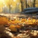 Народні прикмети на 13 вересня