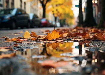 Народні прикмети на 15 вересня