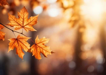 Народні прикмети на 17 вересня