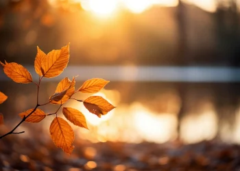 Народні прикмети на 19 вересня