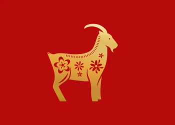 2025 рік для Кози