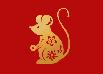 2025 рік для Пацюка