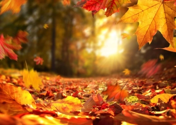 Прикмети про осінь