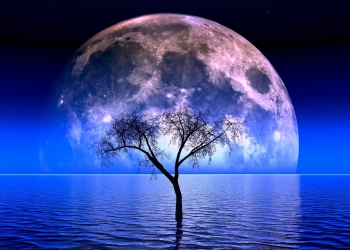 Фаза Місяця 20 жовтня 2024