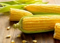 Як правильно варити кукурудзу