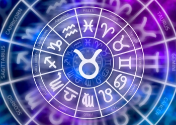 Які професії підходять Тельцям