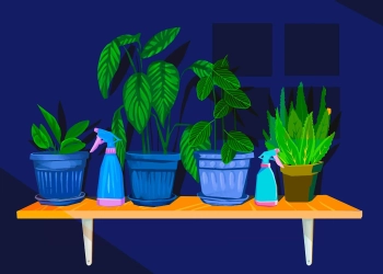 Найкращі садівники за Зодіаком