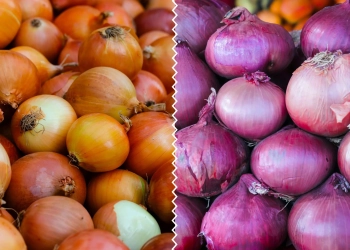 Як зберігати цибулю