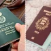 Як за кольором паспорта визначити країну
