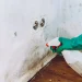 Як позбутися сирості