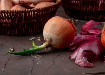 Як виростити велику цибулю