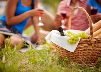 Які комахи найнебезпечніші влітку