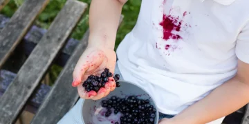 Як вивести плями від ягід