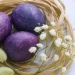 Як пофарбувати яйця каркаде